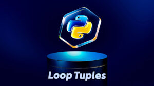 Loop Tuple